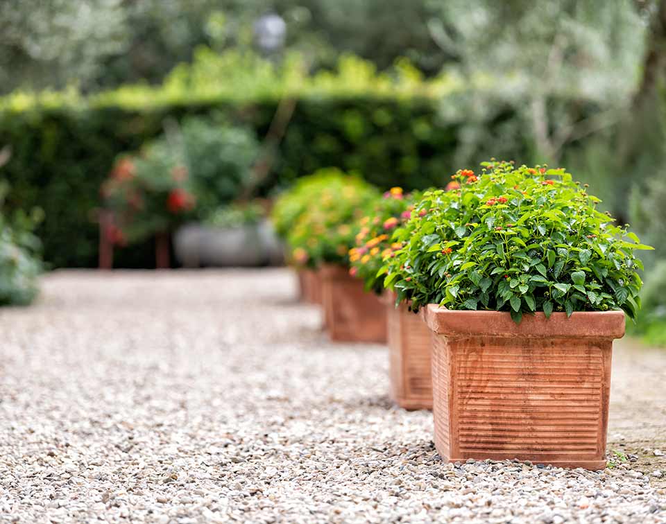 Landscaping Company