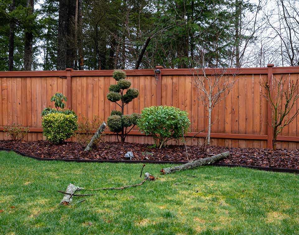 Commercial Lawn Maintenance
